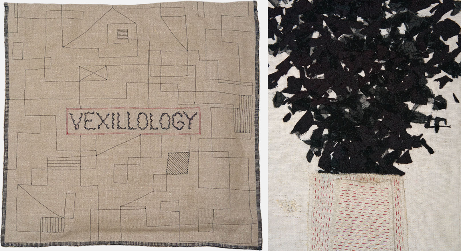 Vexiology - Lisa Kokin