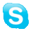 Skype Icon